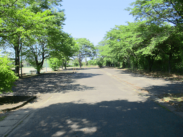 芦沼運動場写真2